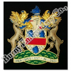 Coat of Arms Family Crests
